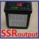 Programmable (Ramp & Soak) Dual Digital PID Temperature Controller 60 Segment Time & Temperature SSR output 1/8 Din for Paragon Pottery Ceramic Annealing